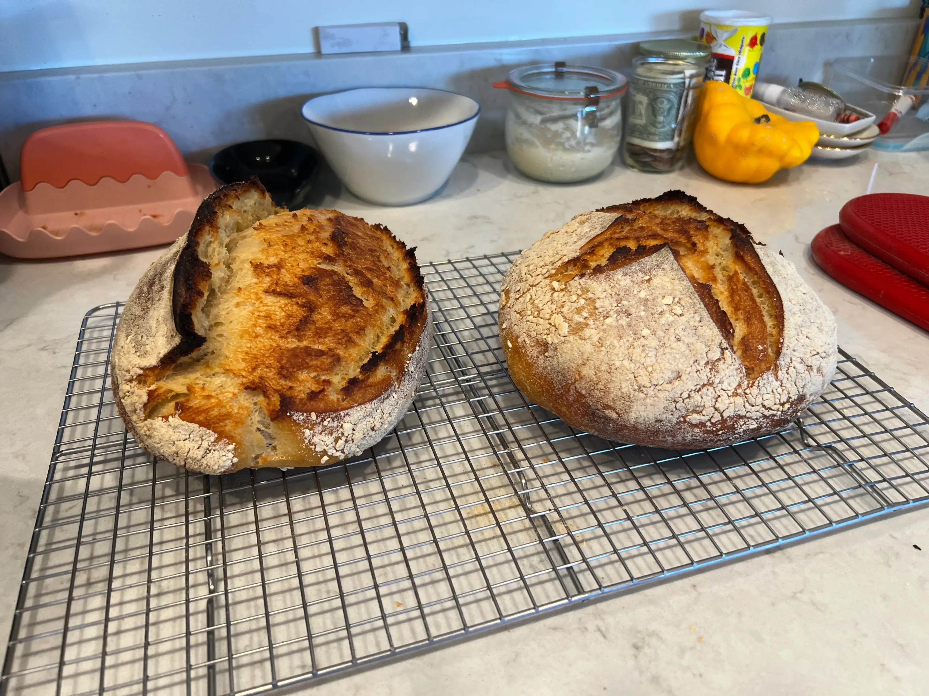 Kamut Sourdough Batard and Boule