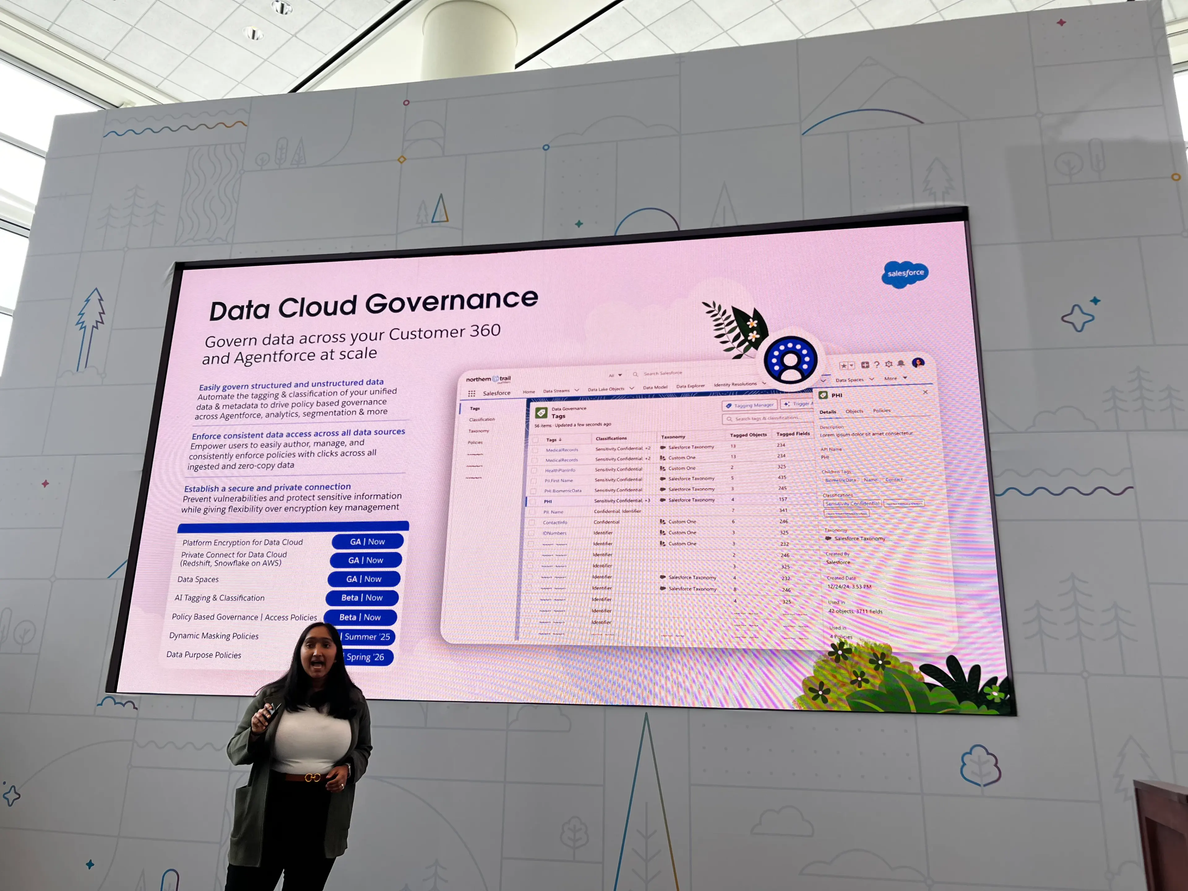 Data Cloud Governance Overview